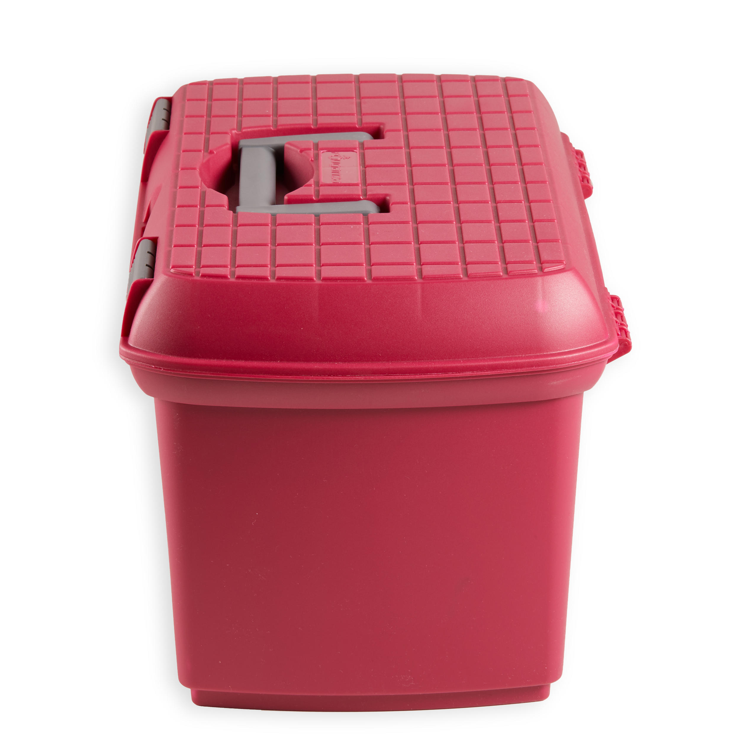 Horse Riding Grooming Box 500 - Raspberry / Grey