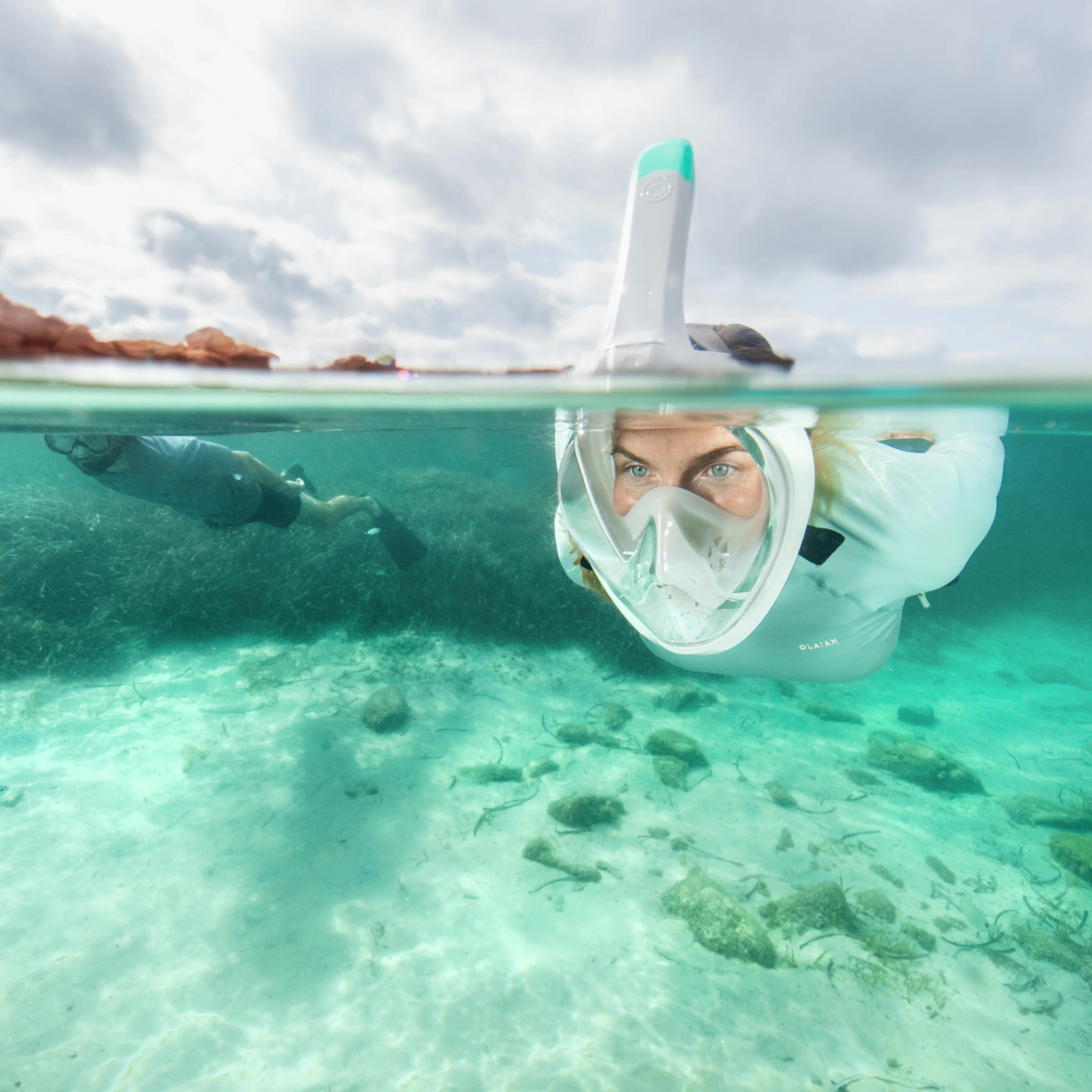 Adult’s Easybreath Surface Mask - 500 Grey with bag