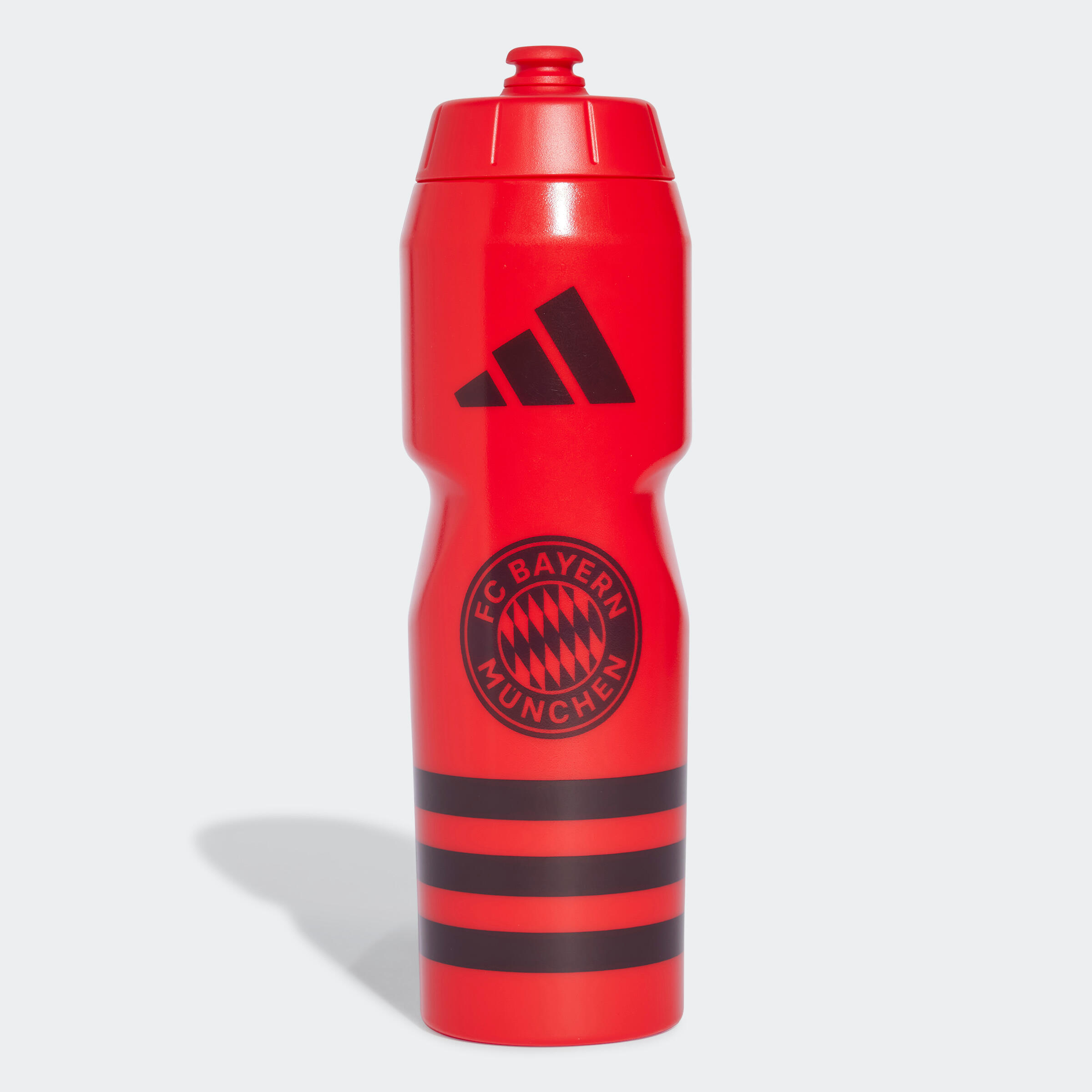 750 mL Water Bottle FC Bayern 24/25