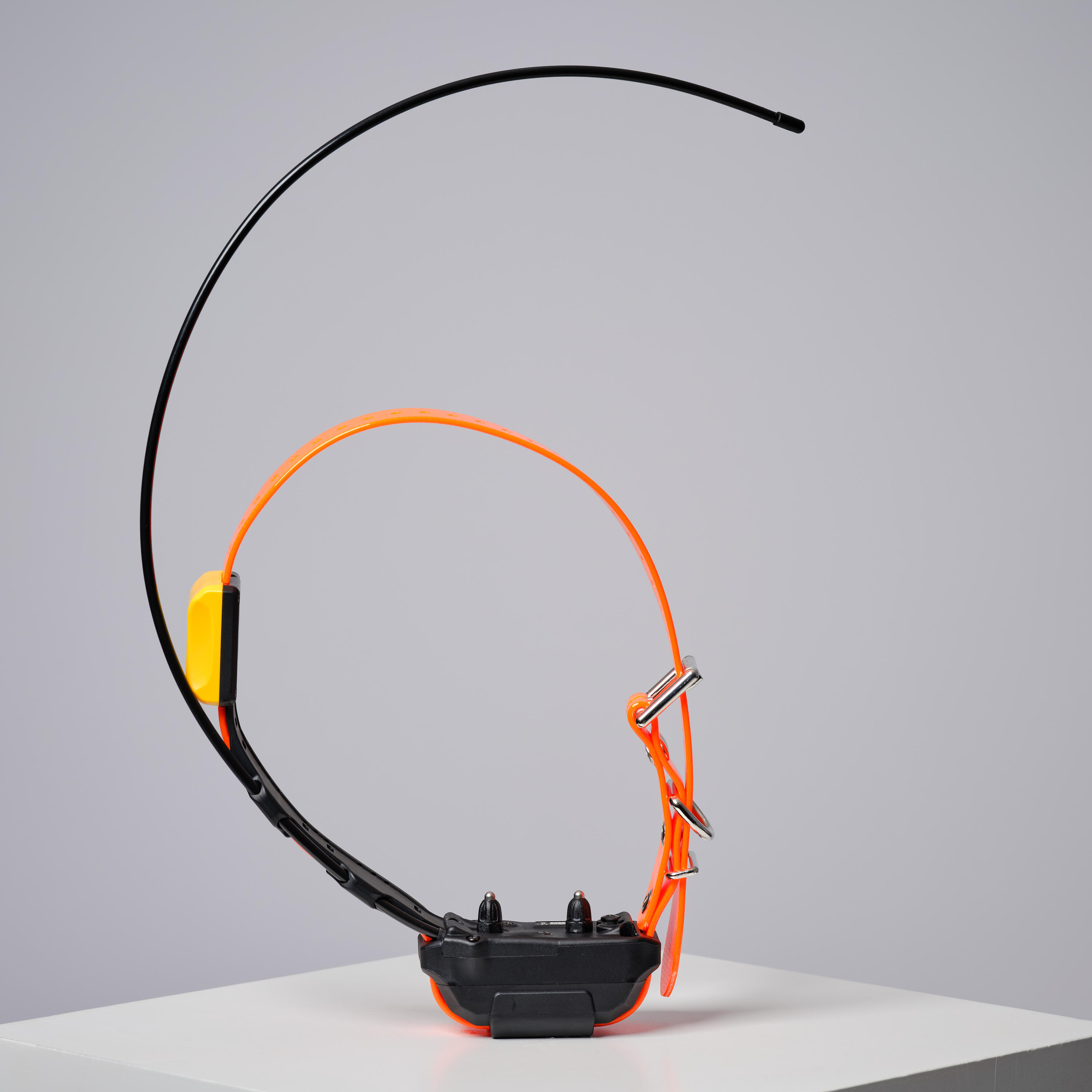 Pack collar + remote control for tracking and training dogs Dogtra Pathfinder V2