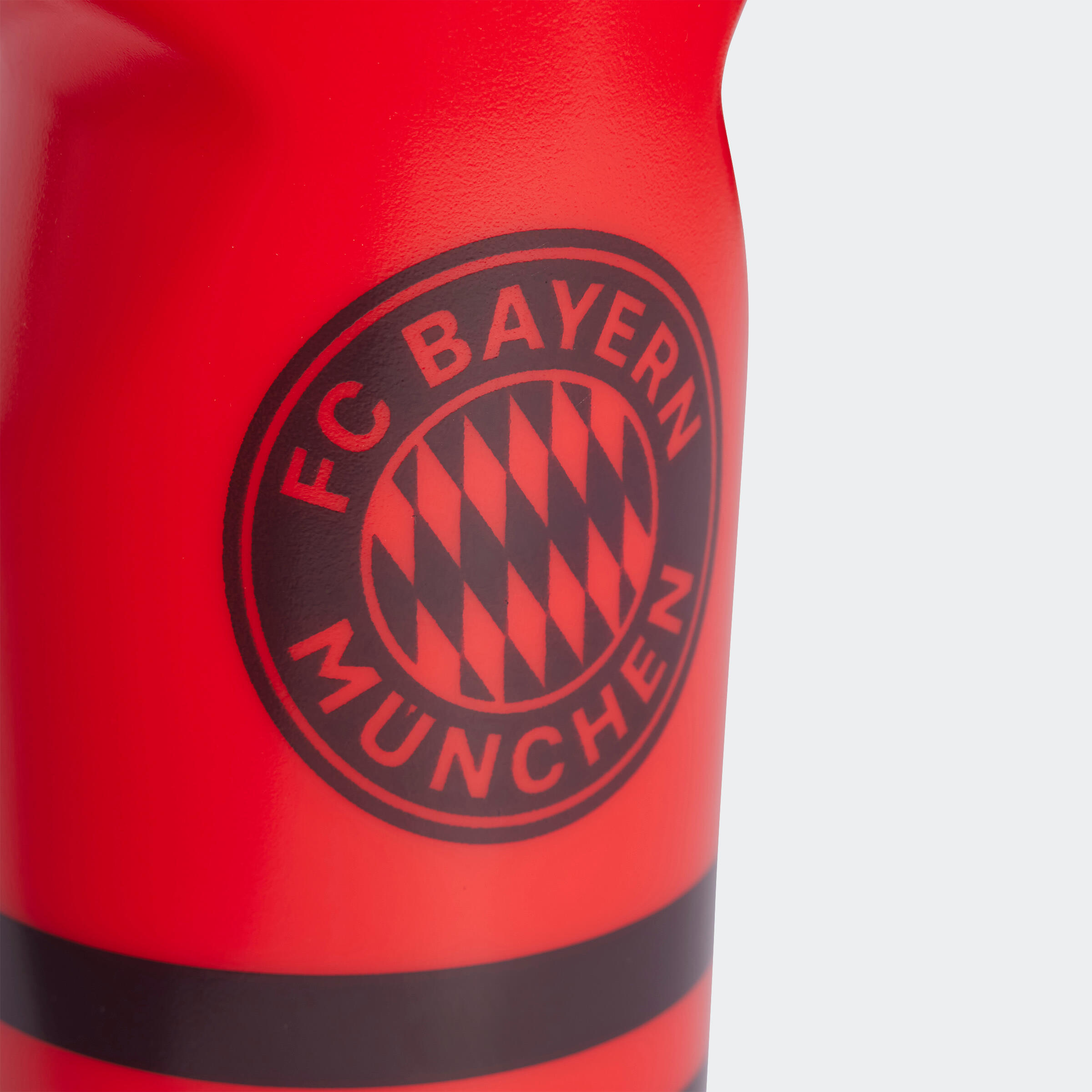 750 mL Water Bottle FC Bayern 24/25