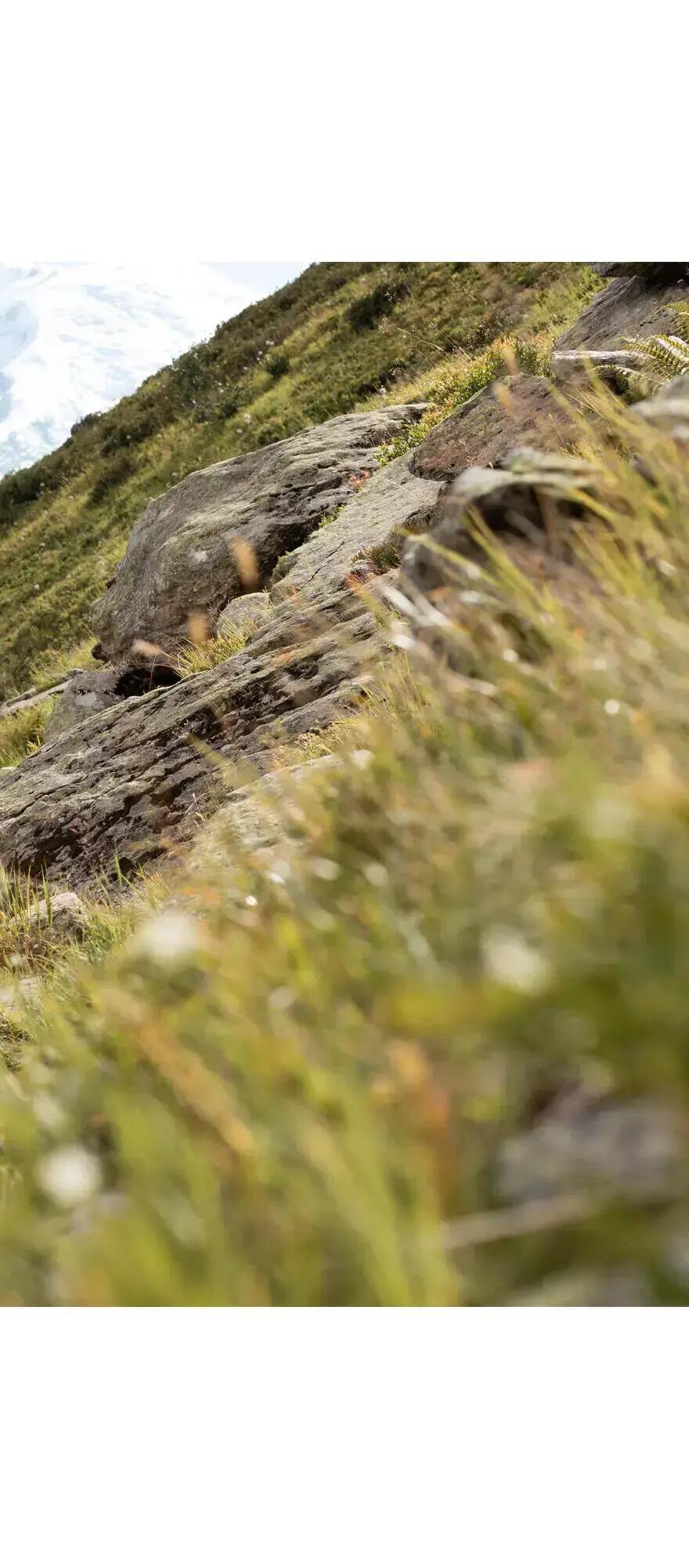 1 Hiking Pole with quick and precise adjustment - MT500 Green