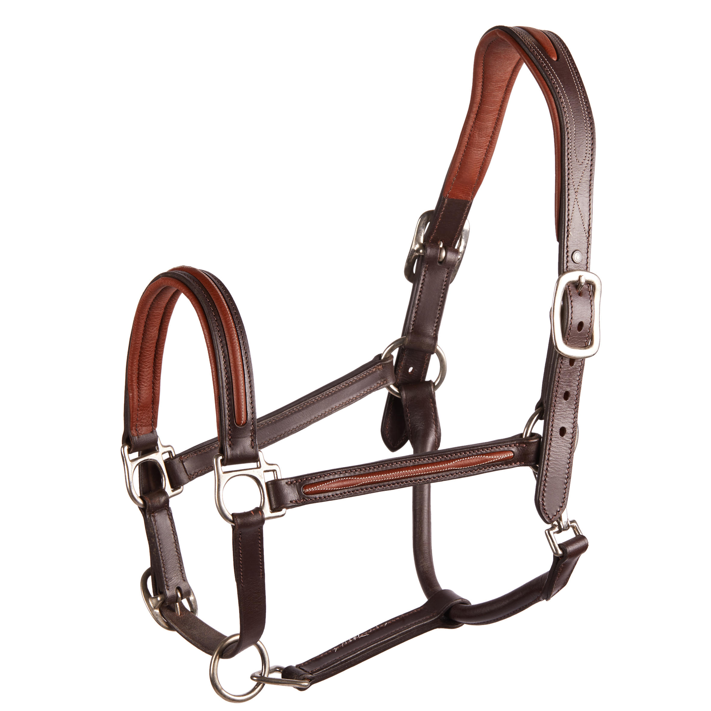 Horse Riding Leather Halter for Horse & Pony 900 - Brown