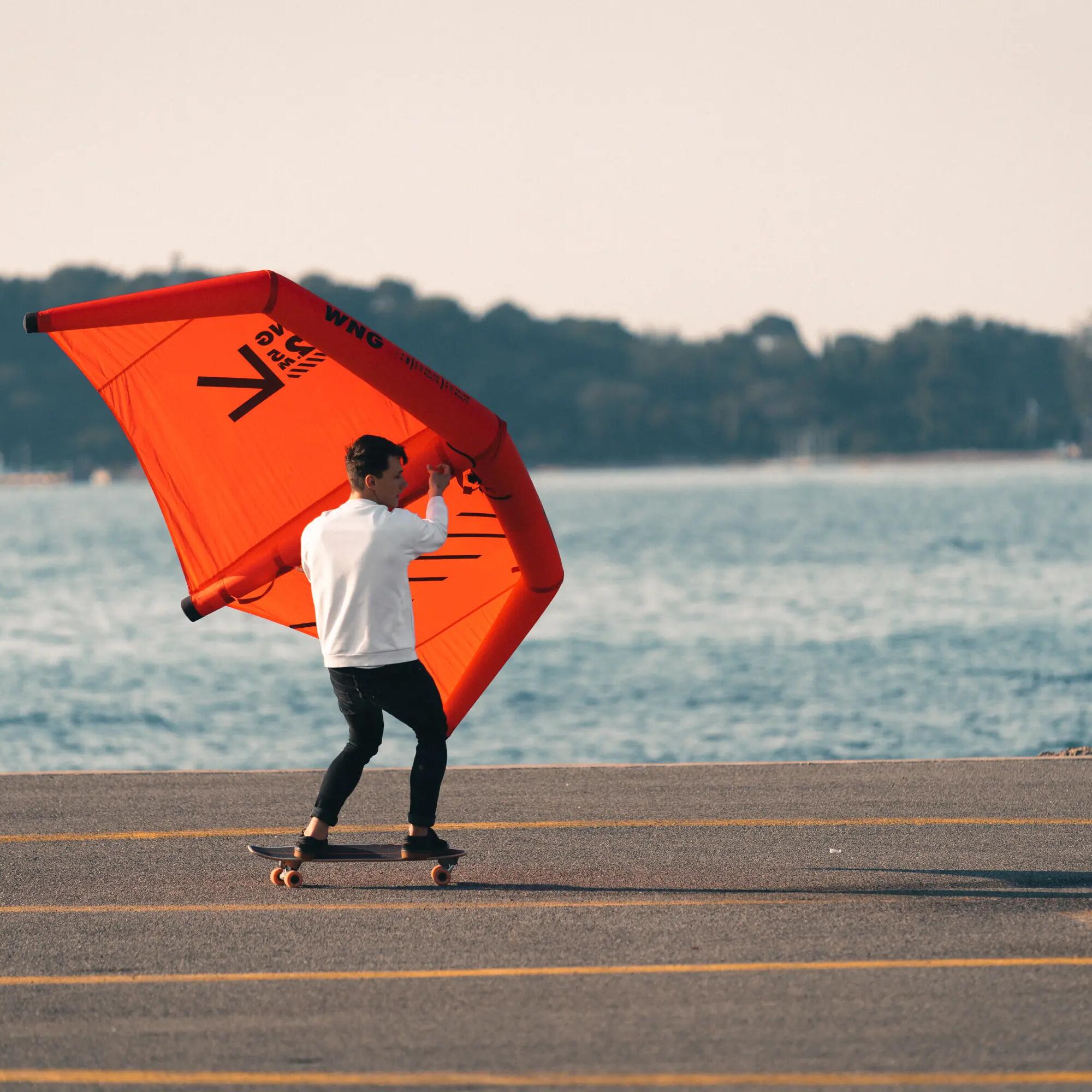 Wing Kite 2.5 m² - WNG 100