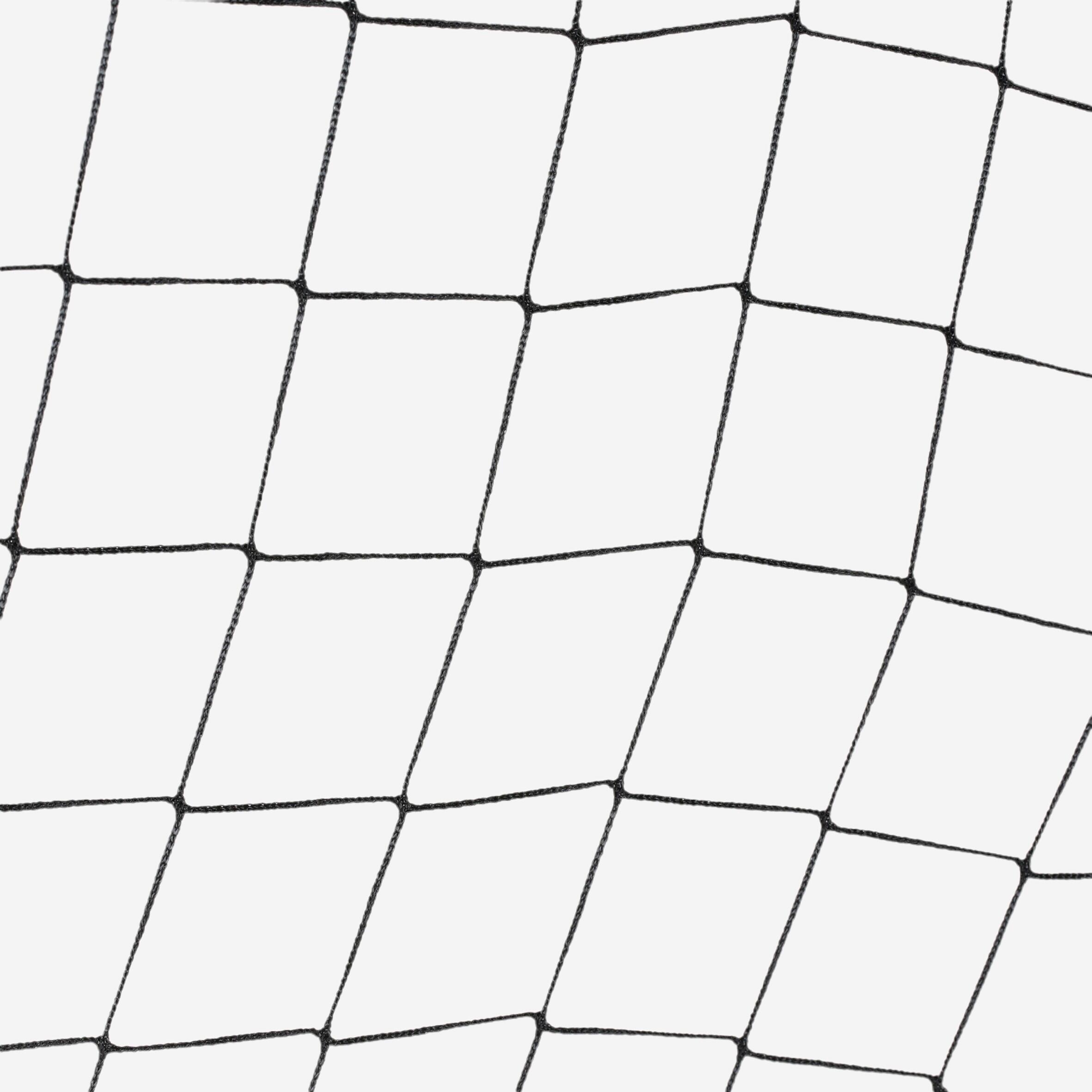 Basic Goal Net Size L