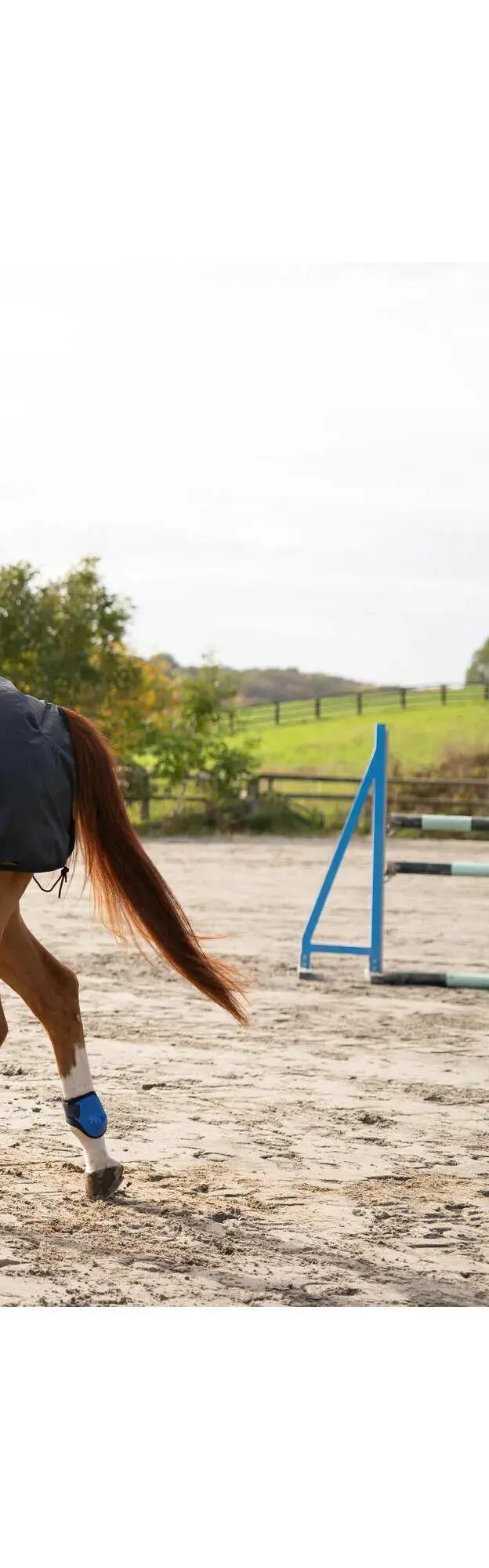 Horse and Pony Riding Exercise Rug Allweather - Black