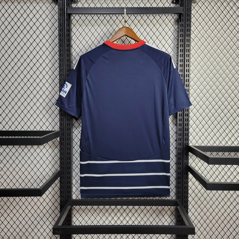Hamburger SV Away 24/25 Football team shirt jersey