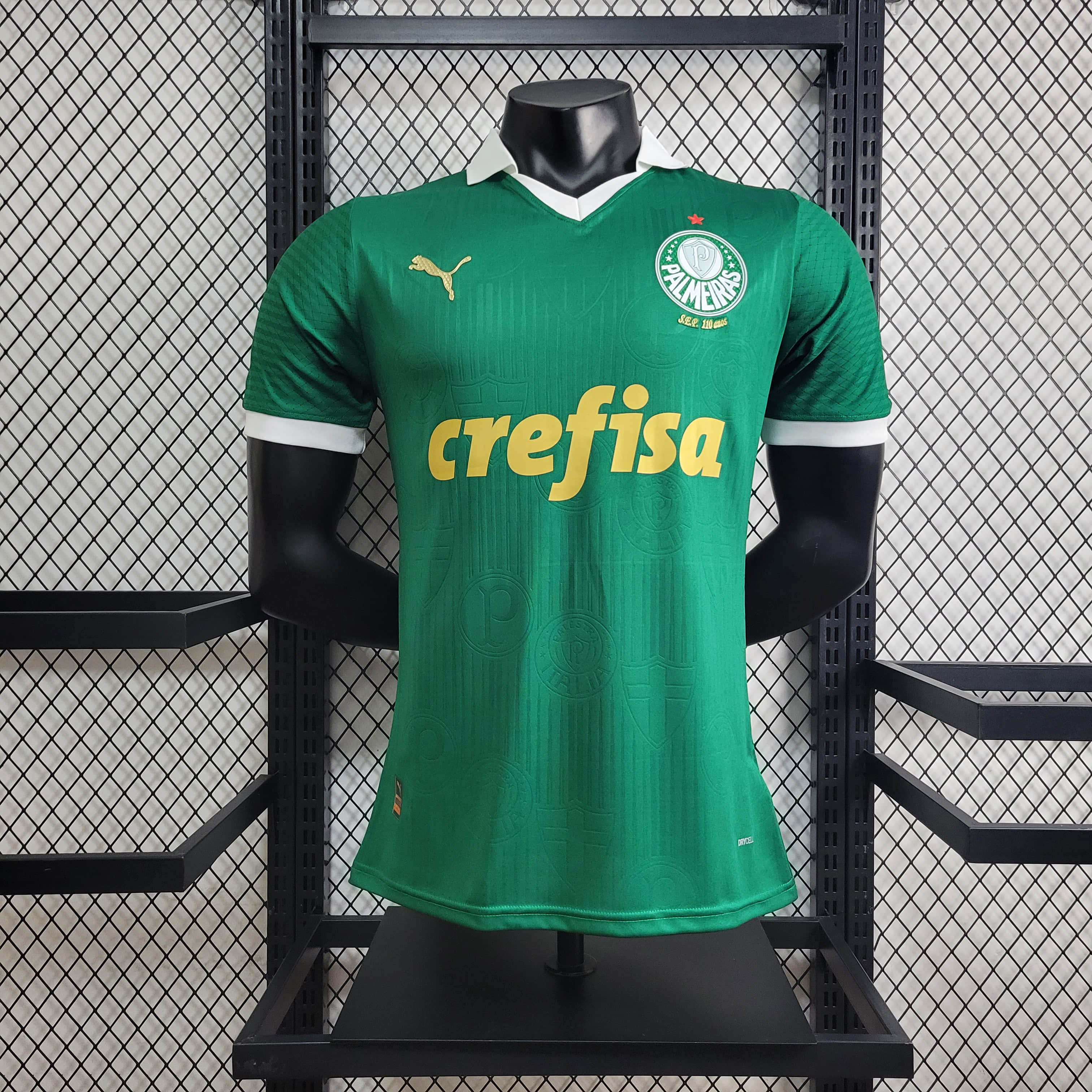 24/25 Player Palmeiras Home
