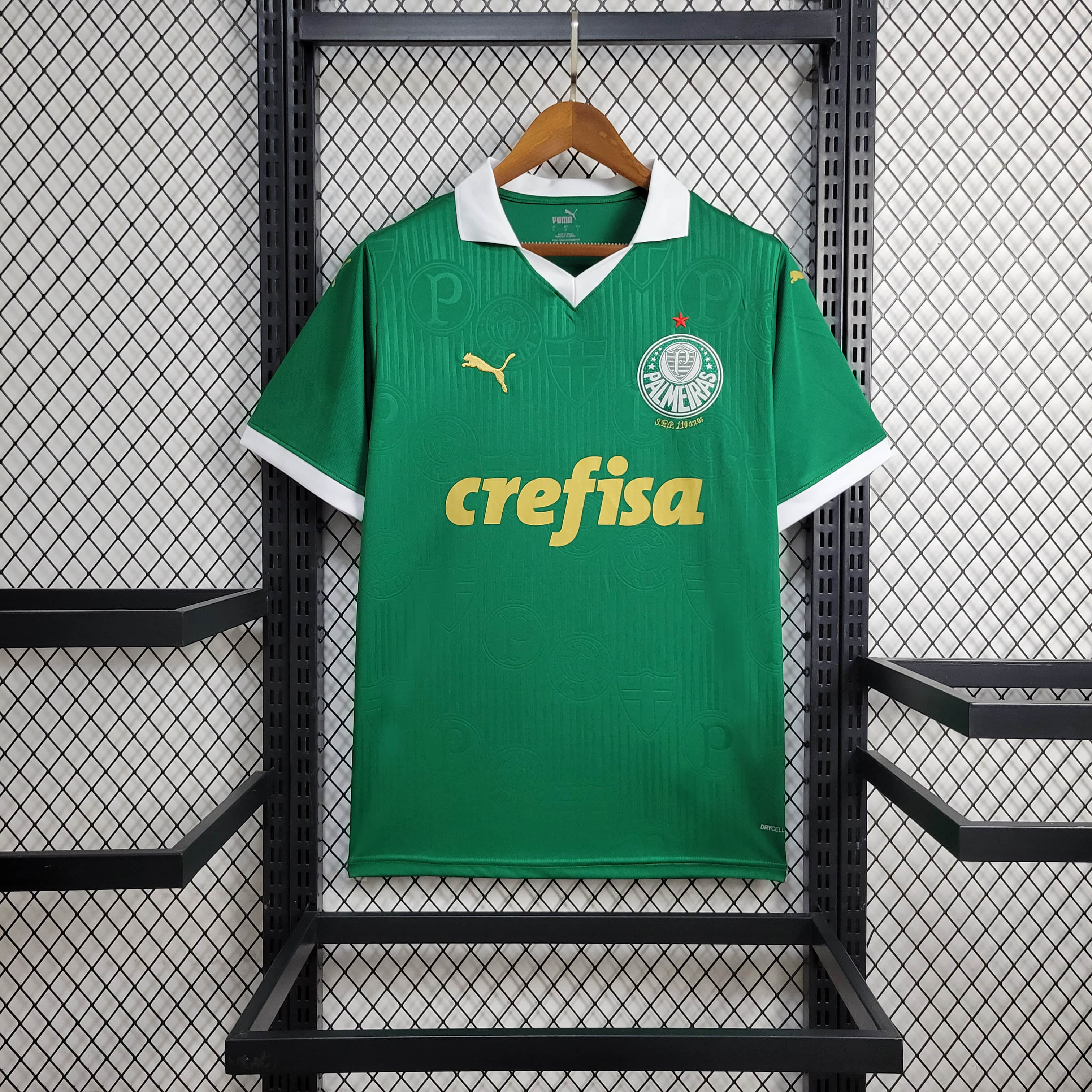 24/25 Palmeiras Home