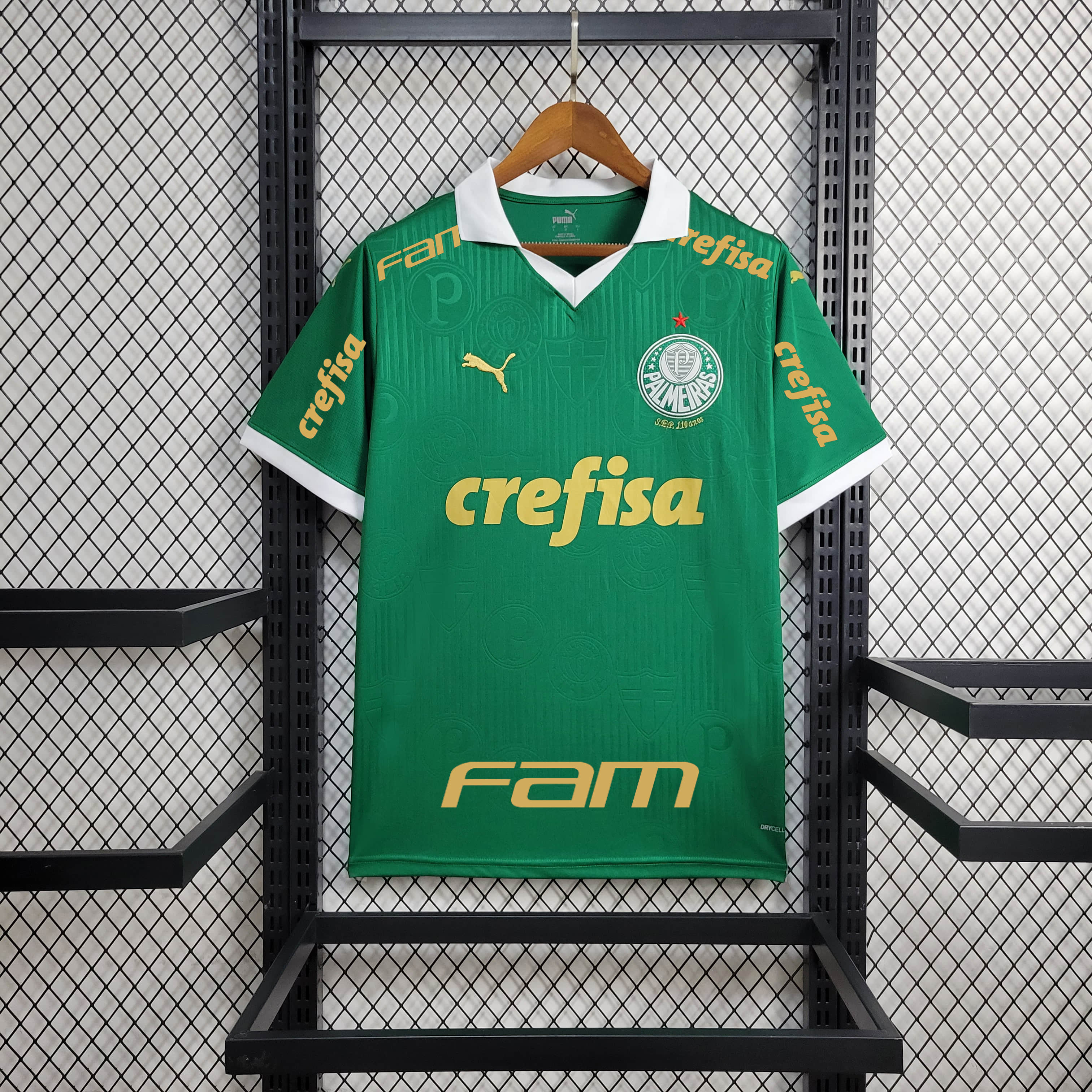 24/25 Palmeiras Home