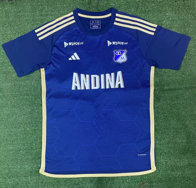 hoffenheim 24-25 home