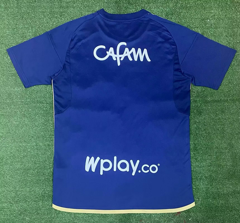 hoffenheim 24-25 home
