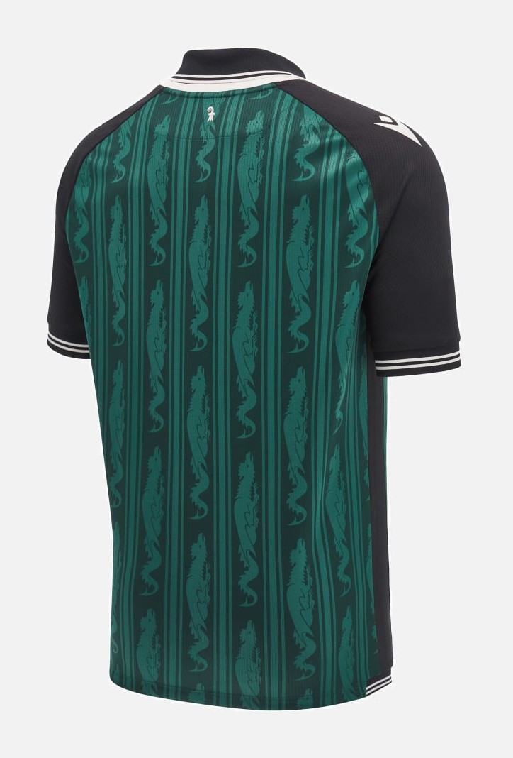 2024/2025 FC Basel Thrid Jersey